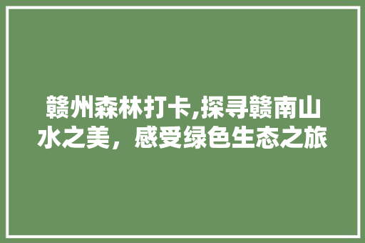 赣州森林打卡,探寻赣南山水之美，感受绿色生态之旅