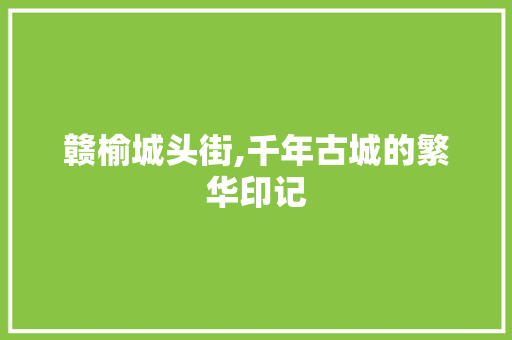 赣榆城头街,千年古城的繁华印记