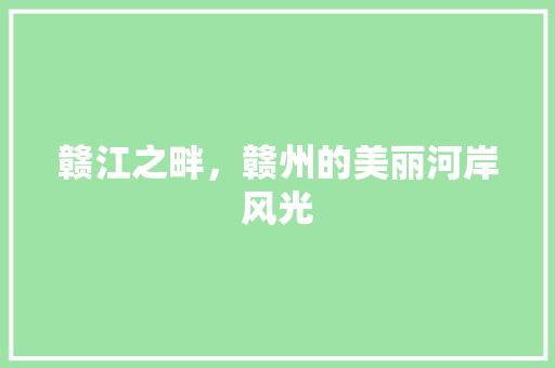 赣江之畔，赣州的美丽河岸风光