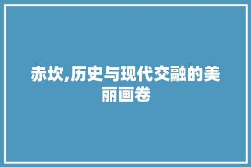 赤坎,历史与现代交融的美丽画卷