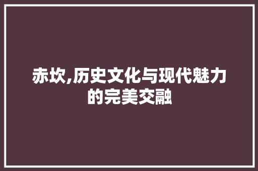 赤坎,历史文化与现代魅力的完美交融