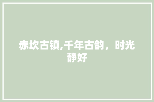 赤坎古镇,千年古韵，时光静好