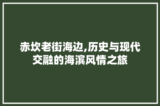 赤坎老街海边,历史与现代交融的海滨风情之旅