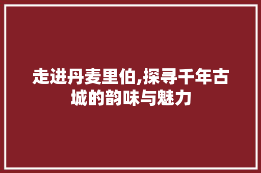 走进丹麦里伯,探寻千年古城的韵味与魅力