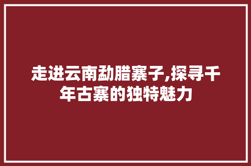 走进云南勐腊寨子,探寻千年古寨的独特魅力