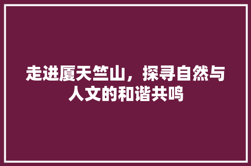 走进厦天竺山，探寻自然与人文的和谐共鸣