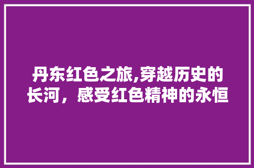 丹东红色之旅,穿越历史的长河，感受红色精神的永恒