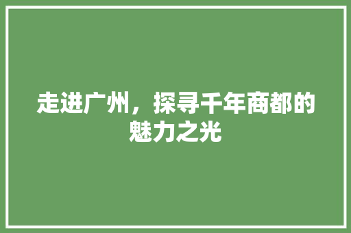 走进广州，探寻千年商都的魅力之光