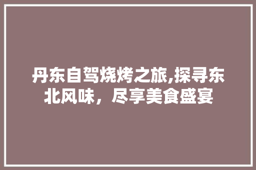 丹东自驾烧烤之旅,探寻东北风味，尽享美食盛宴