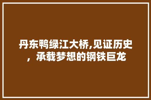 丹东鸭绿江大桥,见证历史，承载梦想的钢铁巨龙