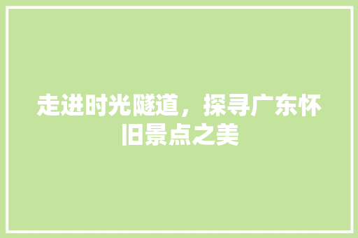 走进时光隧道，探寻广东怀旧景点之美