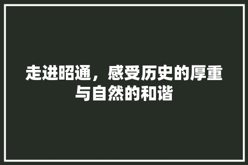 走进昭通，感受历史的厚重与自然的和谐