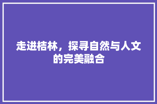 走进桔林，探寻自然与人文的完美融合