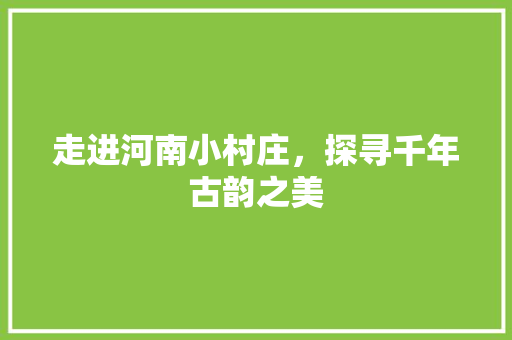 走进河南小村庄，探寻千年古韵之美