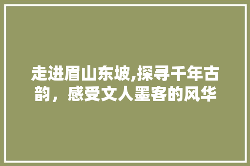 走进眉山东坡,探寻千年古韵，感受文人墨客的风华