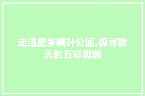 走进肥乡枫叶公园,探寻秋天的五彩斑斓