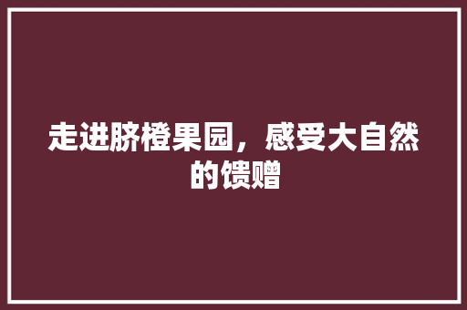 走进脐橙果园，感受大自然的馈赠