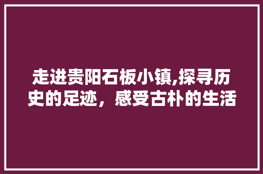 走进贵阳石板小镇,探寻历史的足迹，感受古朴的生活