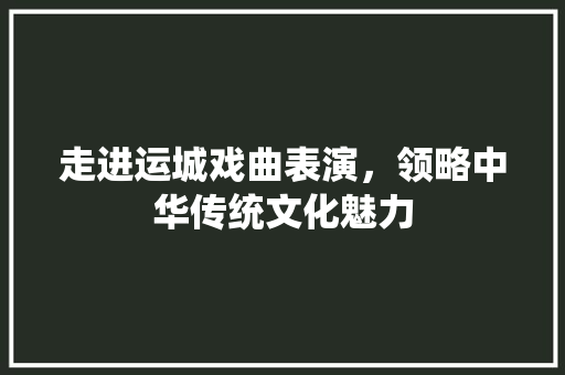 走进运城戏曲表演，领略中华传统文化魅力