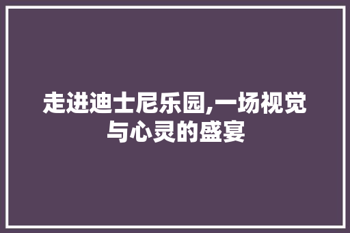 走进迪士尼乐园,一场视觉与心灵的盛宴