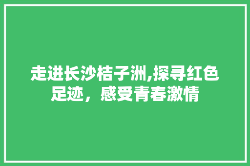 走进长沙桔子洲,探寻红色足迹，感受青春激情