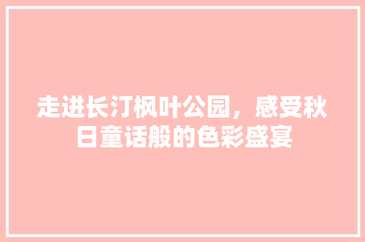 走进长汀枫叶公园，感受秋日童话般的色彩盛宴