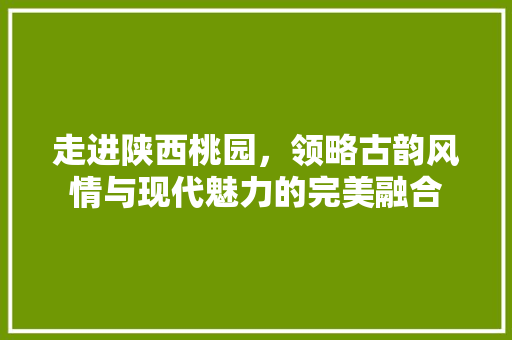 走进陕西桃园，领略古韵风情与现代魅力的完美融合