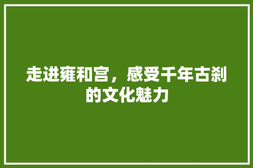 走进雍和宫，感受千年古刹的文化魅力