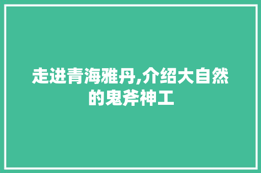 走进青海雅丹,介绍大自然的鬼斧神工