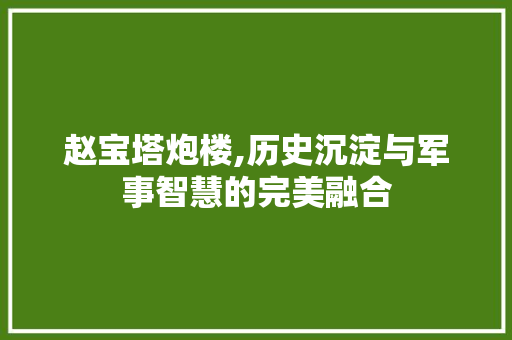 赵宝塔炮楼,历史沉淀与军事智慧的完美融合