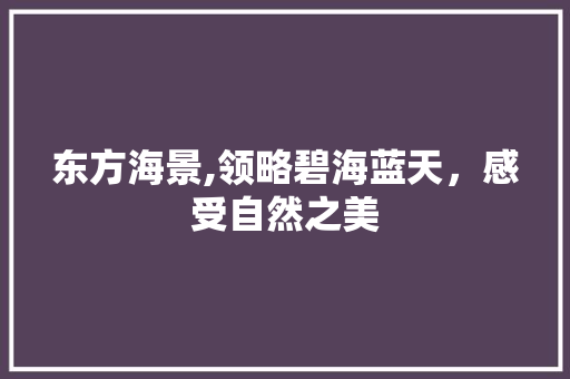 东方海景,领略碧海蓝天，感受自然之美