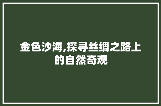 金色沙海,探寻丝绸之路上的自然奇观