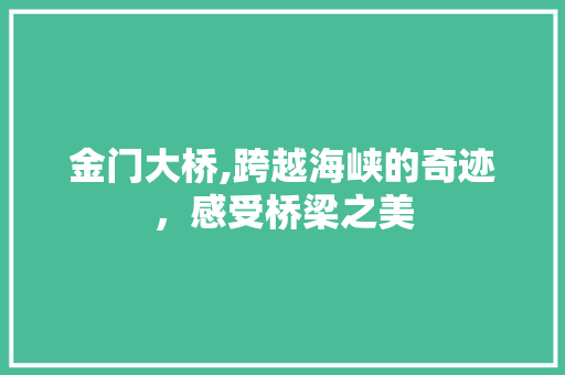 金门大桥,跨越海峡的奇迹，感受桥梁之美