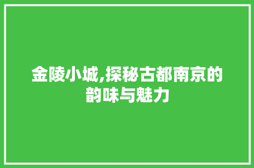 金陵小城,探秘古都南京的韵味与魅力