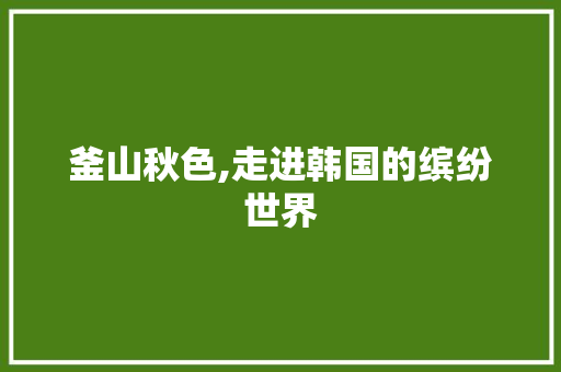 釜山秋色,走进韩国的缤纷世界