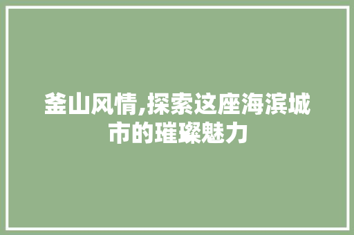 釜山风情,探索这座海滨城市的璀璨魅力