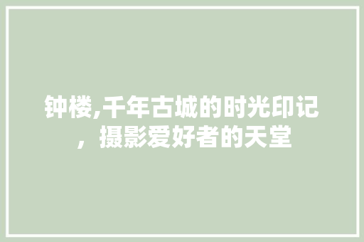 钟楼,千年古城的时光印记，摄影爱好者的天堂