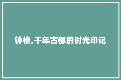 钟楼,千年古都的时光印记