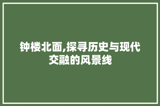 钟楼北面,探寻历史与现代交融的风景线