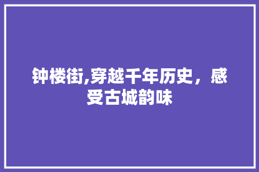 钟楼街,穿越千年历史，感受古城韵味