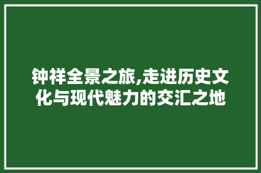 钟祥全景之旅,走进历史文化与现代魅力的交汇之地