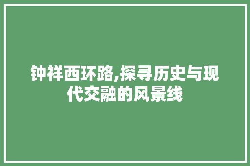 钟祥西环路,探寻历史与现代交融的风景线