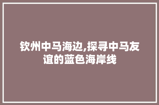 钦州中马海边,探寻中马友谊的蓝色海岸线