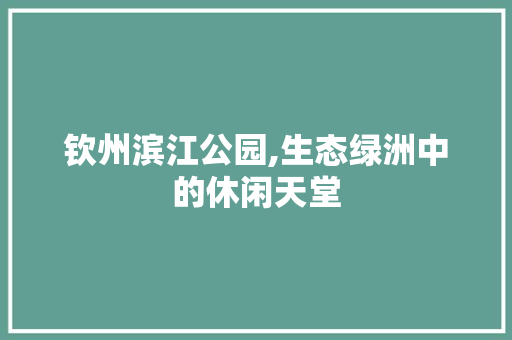 钦州滨江公园,生态绿洲中的休闲天堂