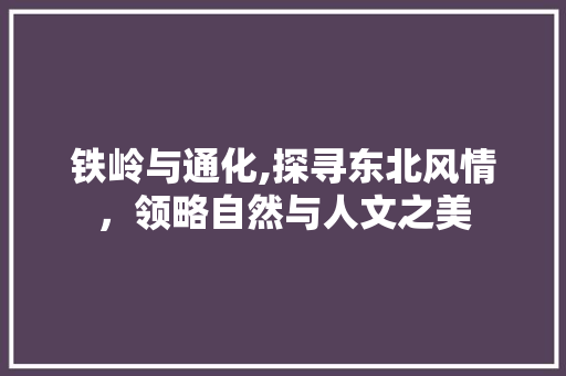 铁岭与通化,探寻东北风情，领略自然与人文之美