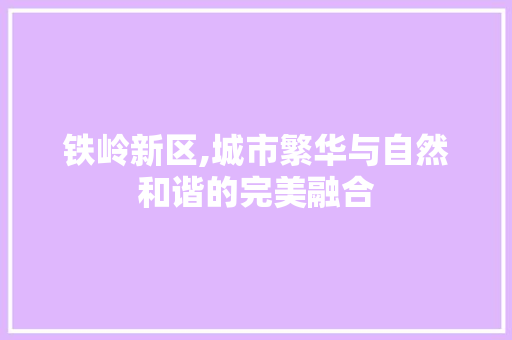 铁岭新区,城市繁华与自然和谐的完美融合