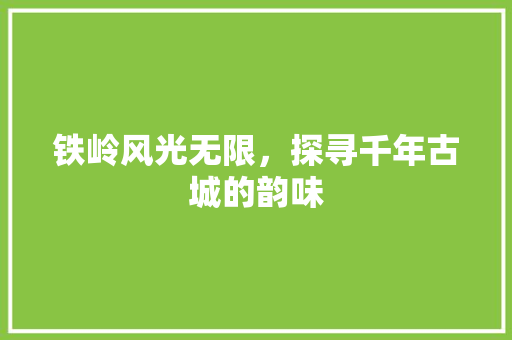 铁岭风光无限，探寻千年古城的韵味