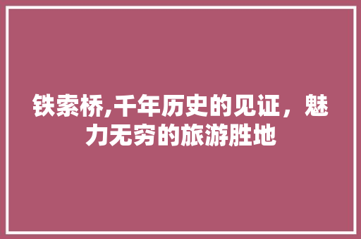 铁索桥,千年历史的见证，魅力无穷的旅游胜地