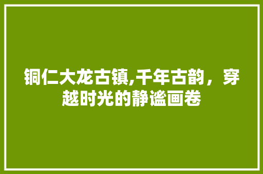 铜仁大龙古镇,千年古韵，穿越时光的静谧画卷