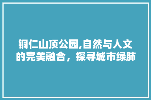 铜仁山顶公园,自然与人文的完美融合，探寻城市绿肺中的秘境